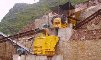 cost on stone crushing plant 